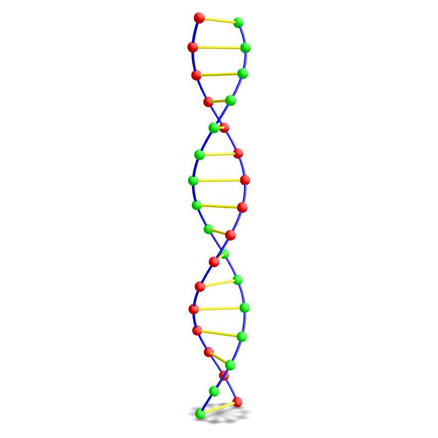 DNA Helix